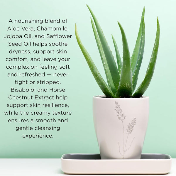 Sensitive Skin Cleanser, Soap-Free with Aloe & Chamomile