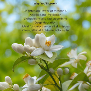 Vitamin C Moisturizer - Paraben Free, Vegan, Gluten Free - Lightweight Hydrating Cream